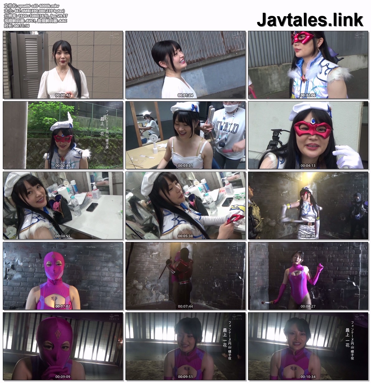 SPSA-06 预览图