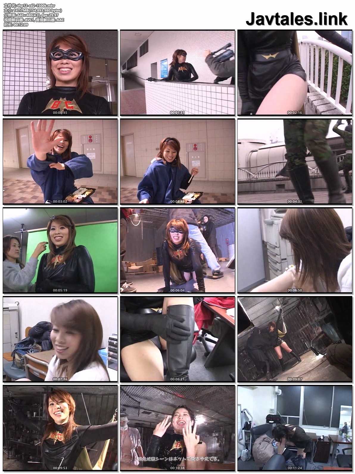 THP-12 预览图