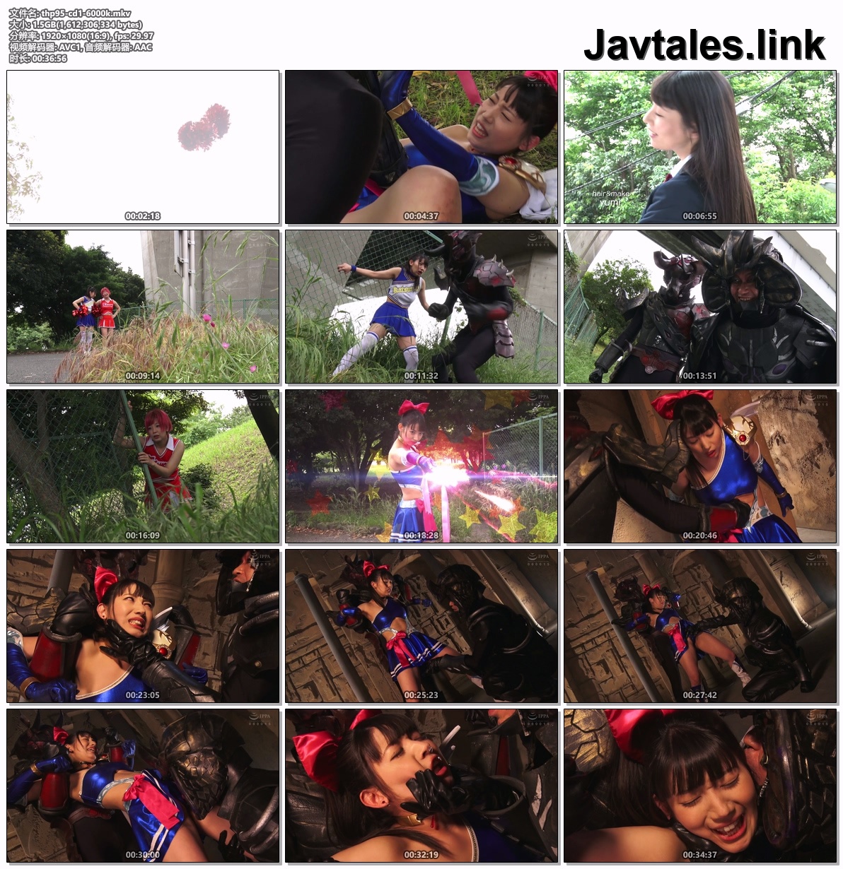 THP-95 预览图