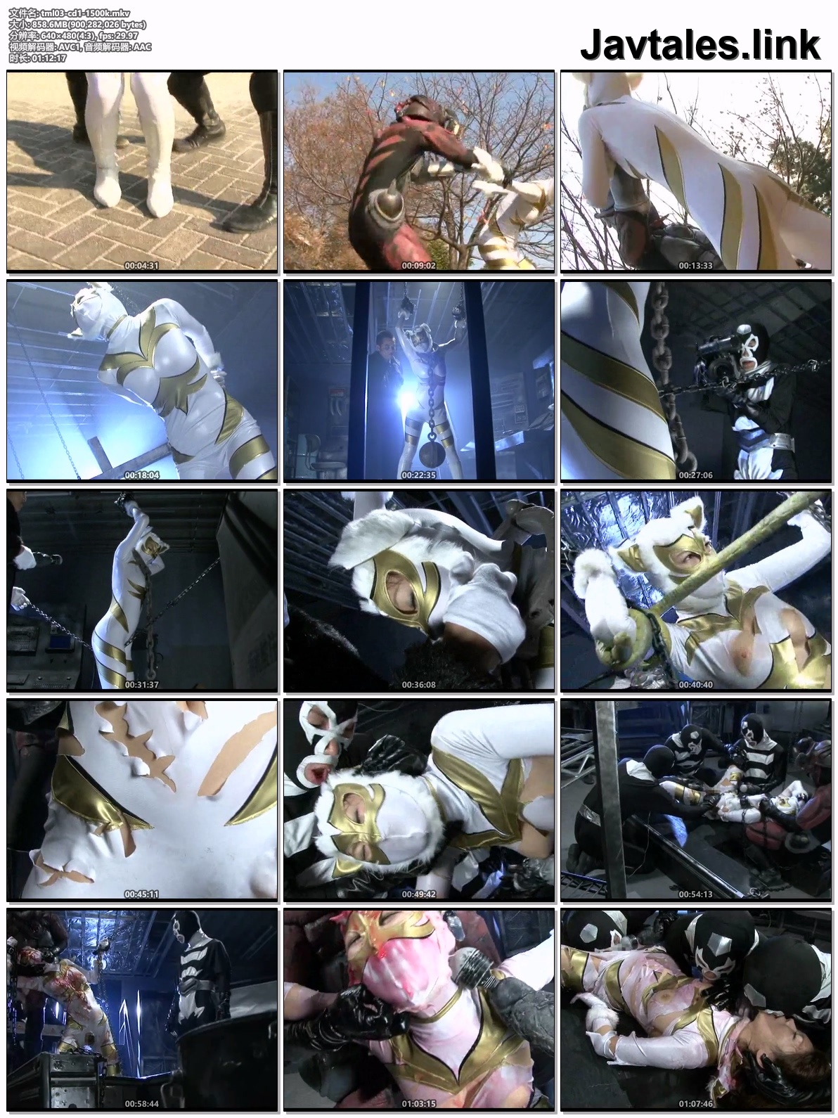 TML-03 预览图