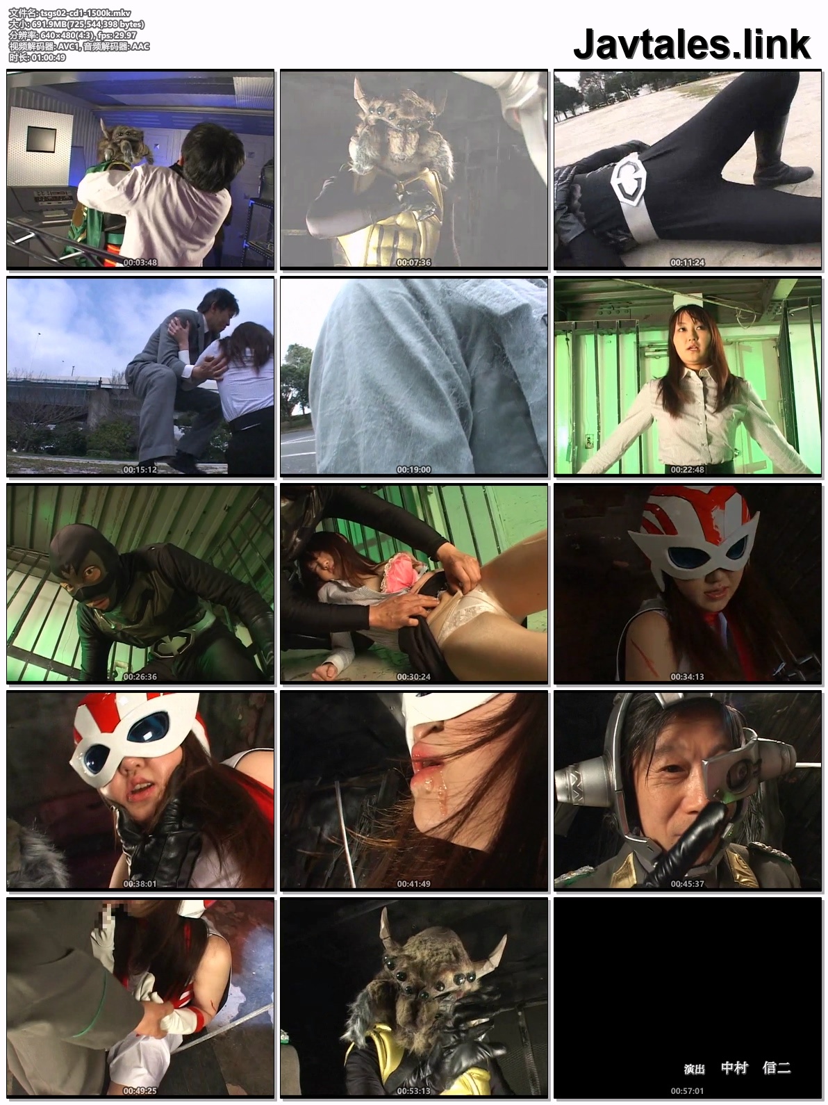 TSGS-02 预览图