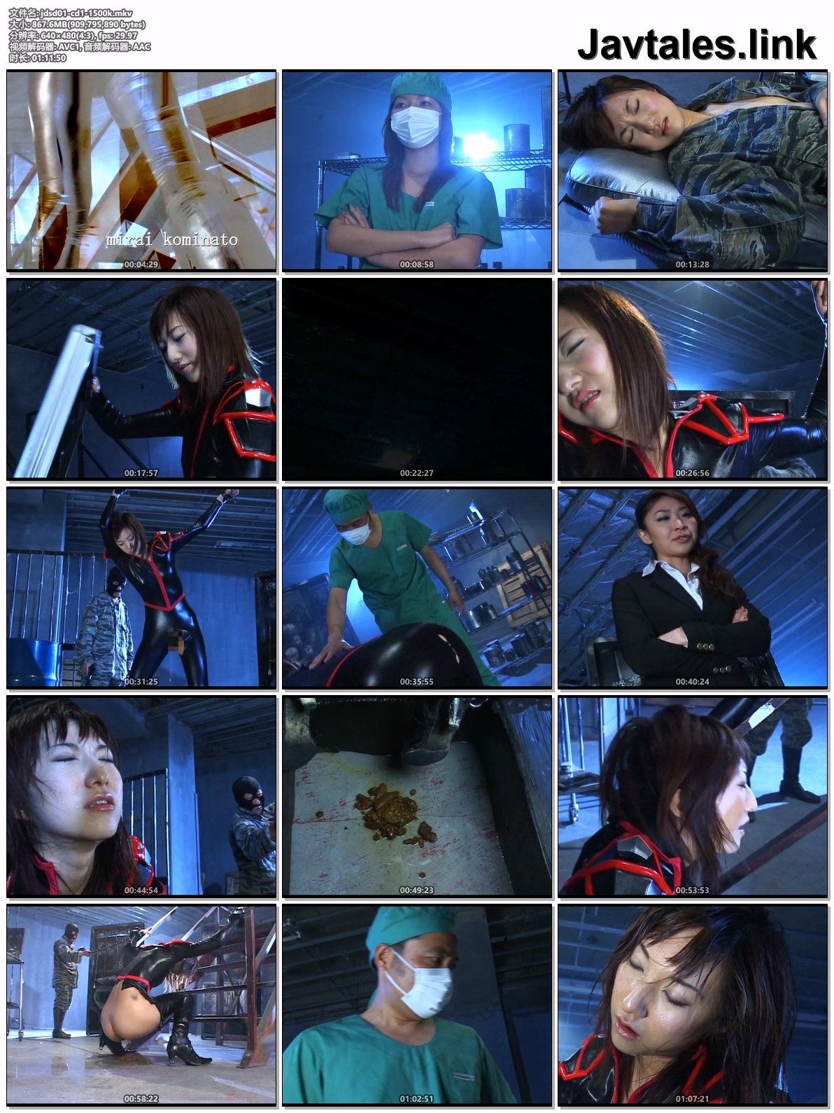 JDSD-01 预览图